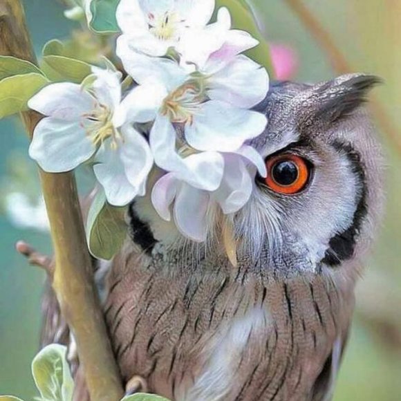 Meet your Posher, Brittny - Picture 1 of 1